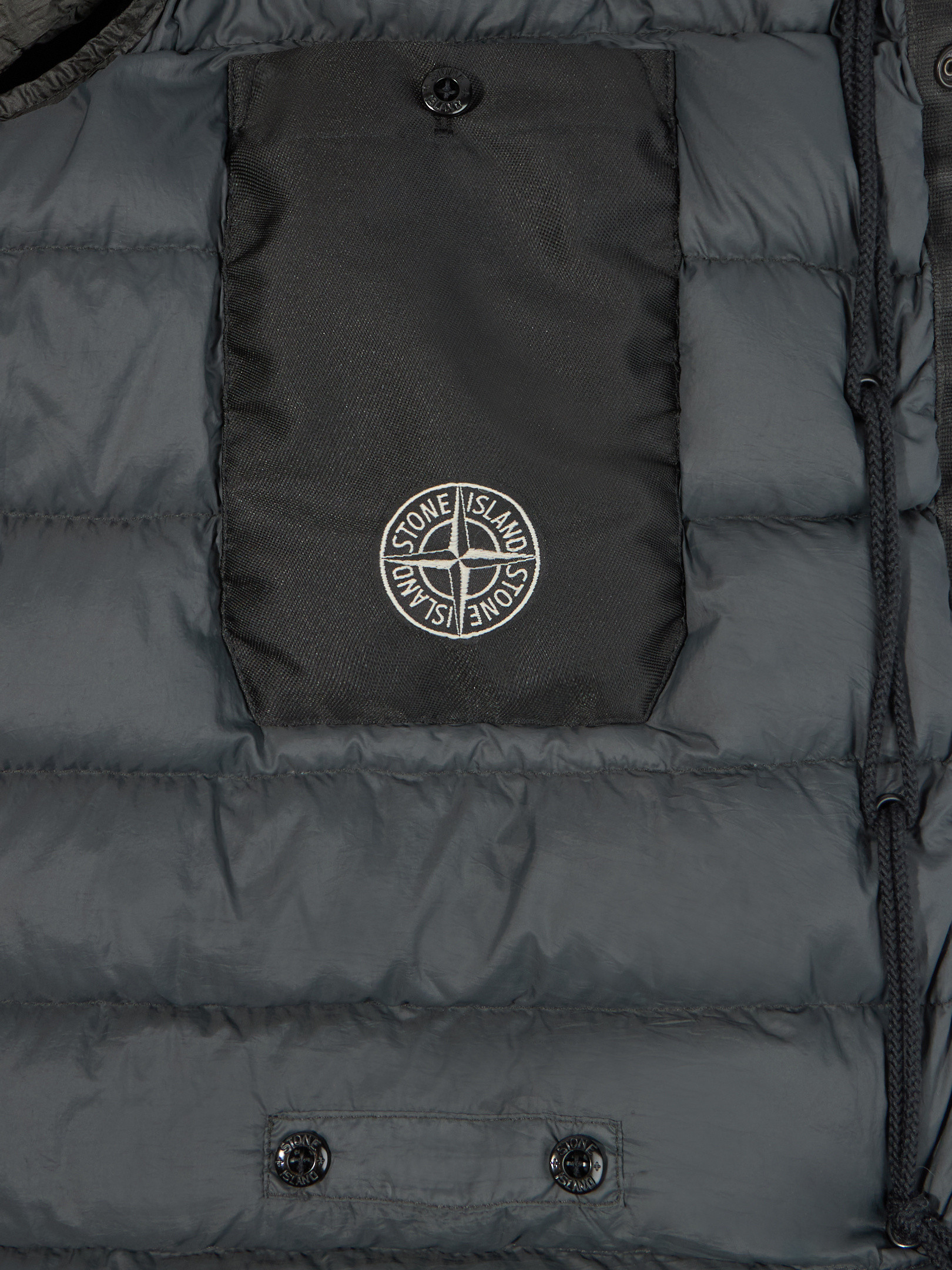Black 559A9 COTTON CHENILLE The President