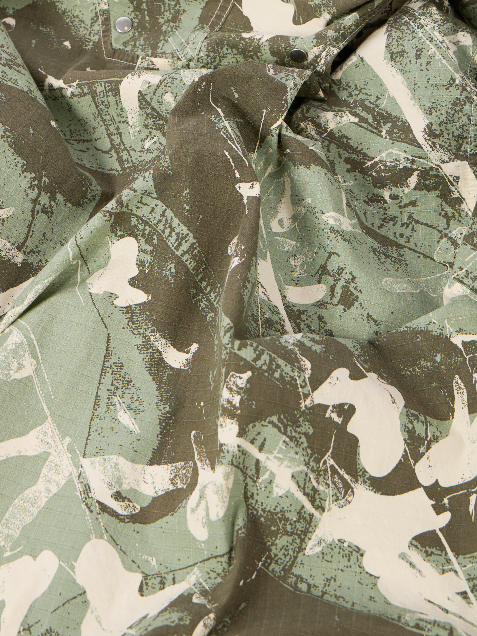 New Greek Lizard! : r/camouflage