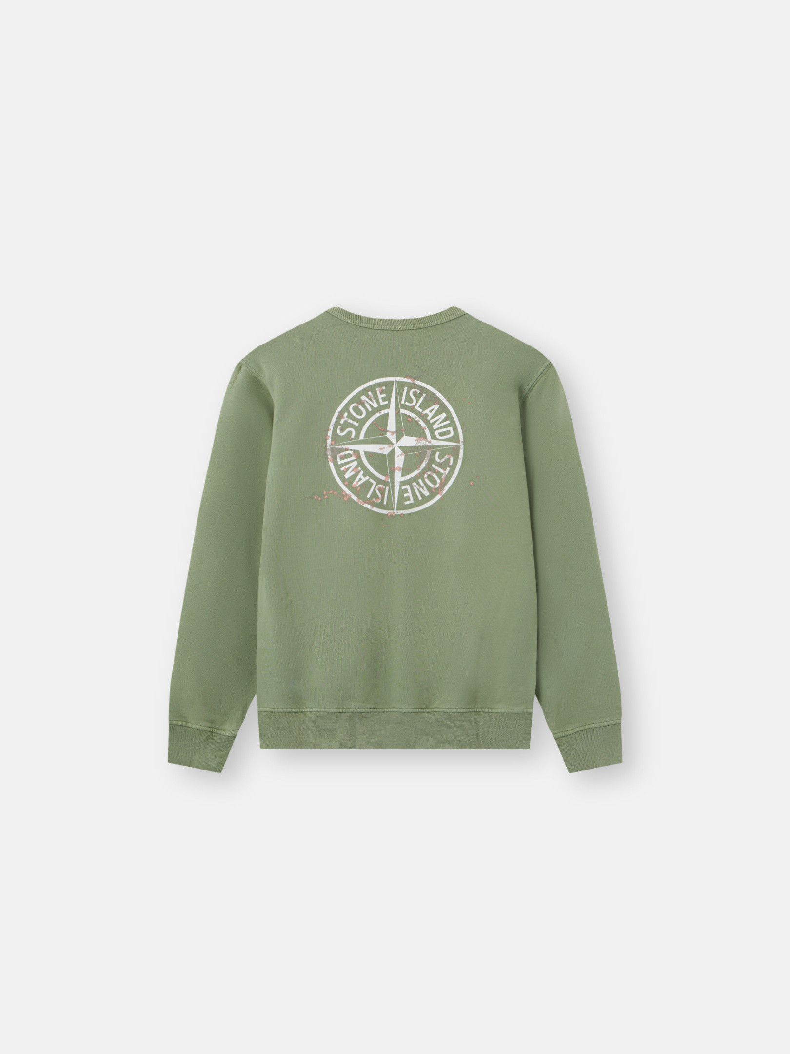 Sage Green Crewneck sweatshirt with 'Forest Compass' print