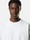 undefined 6100057 HEAVY ORGANIC COTTON JERSEY 스카이 블루 Stone Island