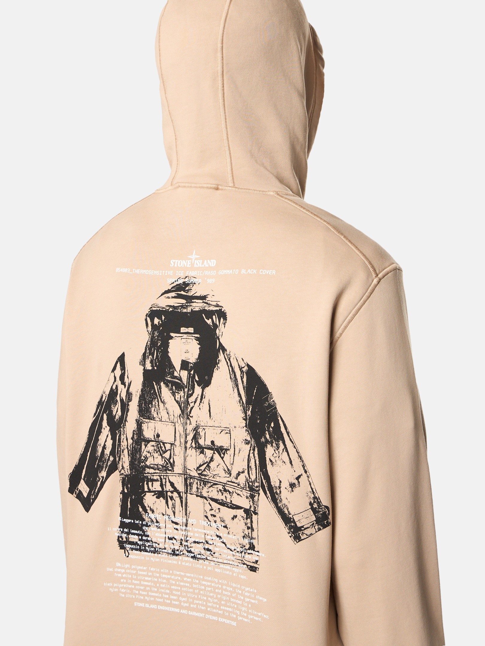 Desert Regular-fit hooded sweatshirt with 'ARCHIVIO' print 6100066