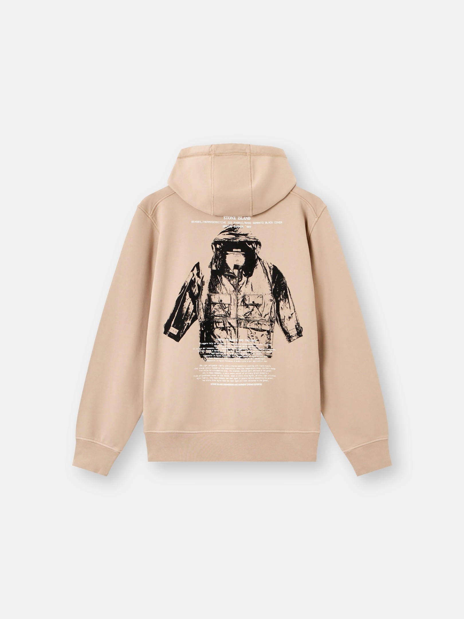 Desert Regular-fit hooded sweatshirt with 'ARCHIVIO' print 6100066