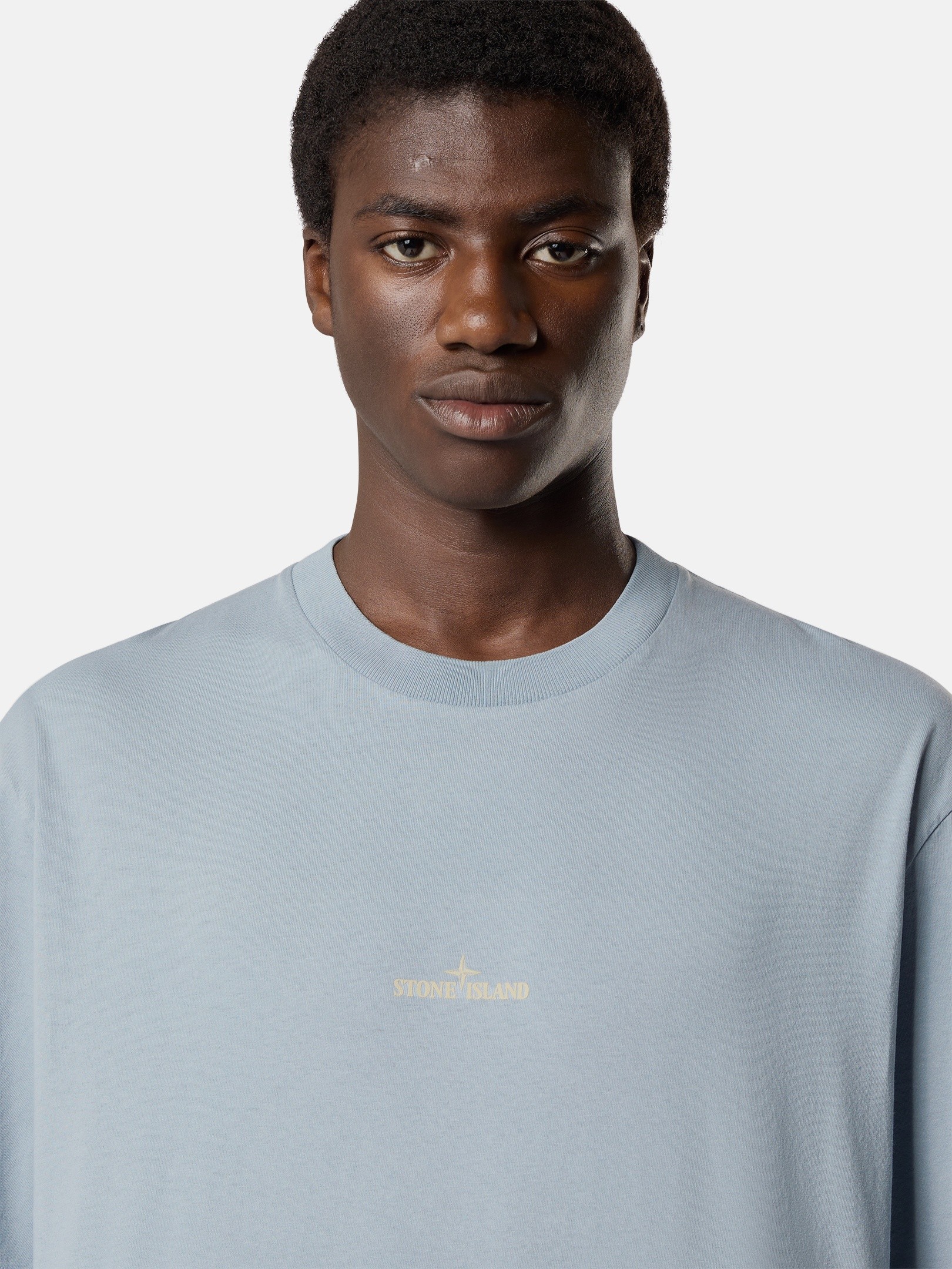 Ash Gray Regular-fit T-shirt with 'Desert' print 2100001 ORGANIC