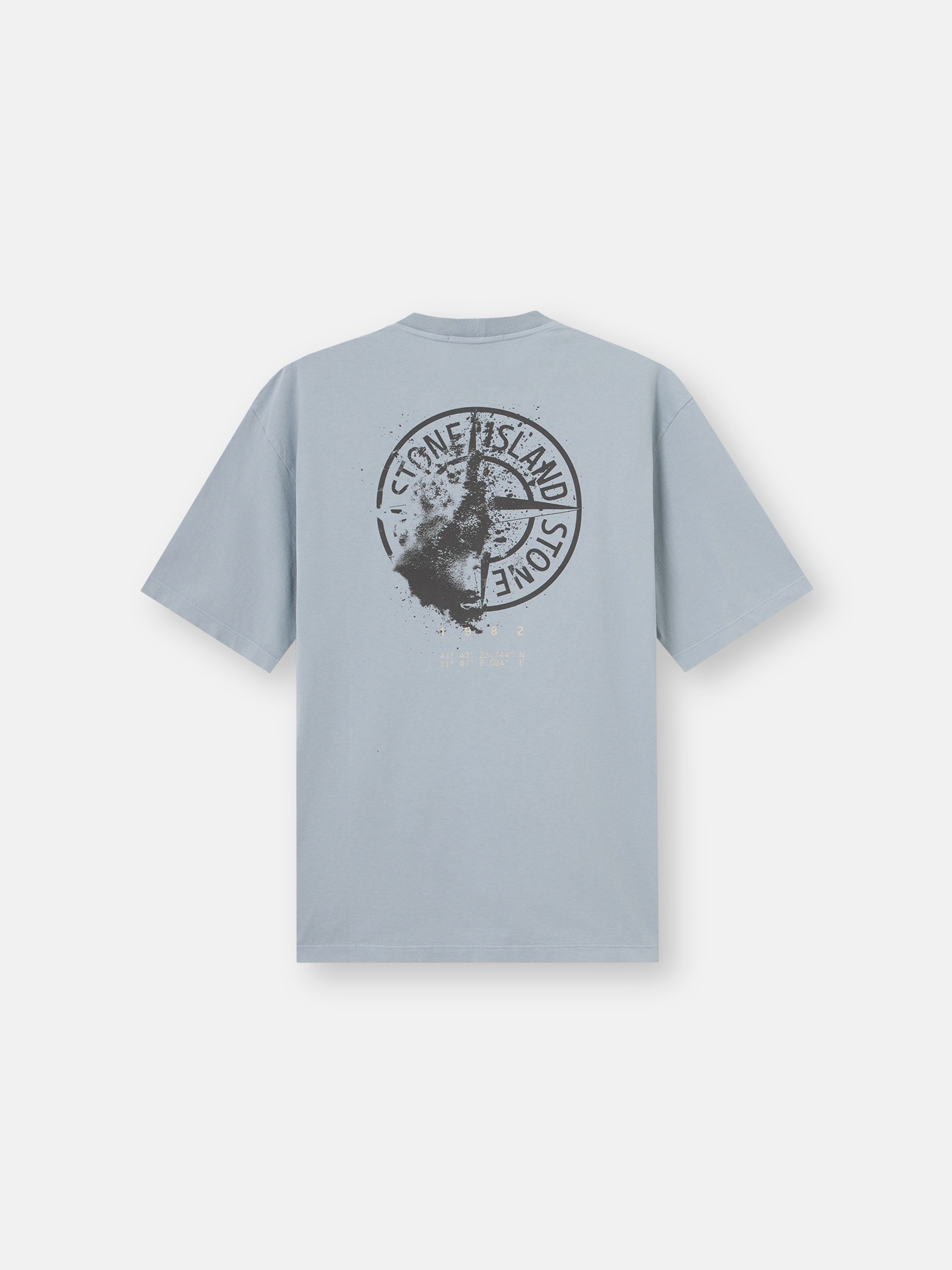 Ash Grey Regular-fit T-shirt with 'Desert' print 2100001 ORGANIC