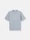 2100001 ORGANIC COTTON JERSEY Ash Grey Stone Island