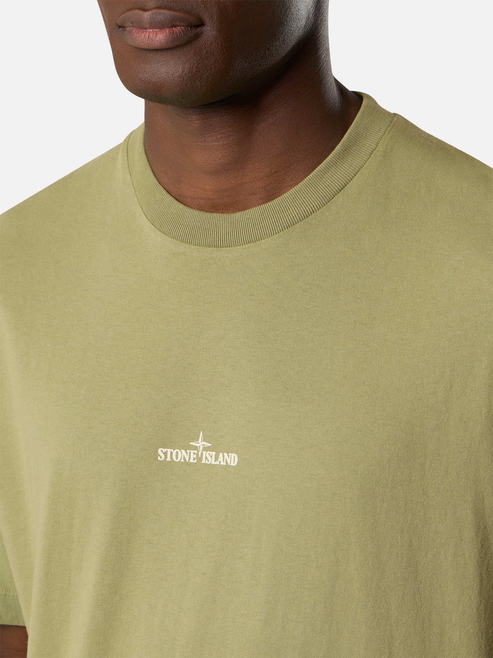 Laurel Green Regular-fit T-shirt with 'Desert' print 2100001