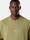 2100001 ORGANIC COTTON JERSEY Lorbeergrün Stone Island