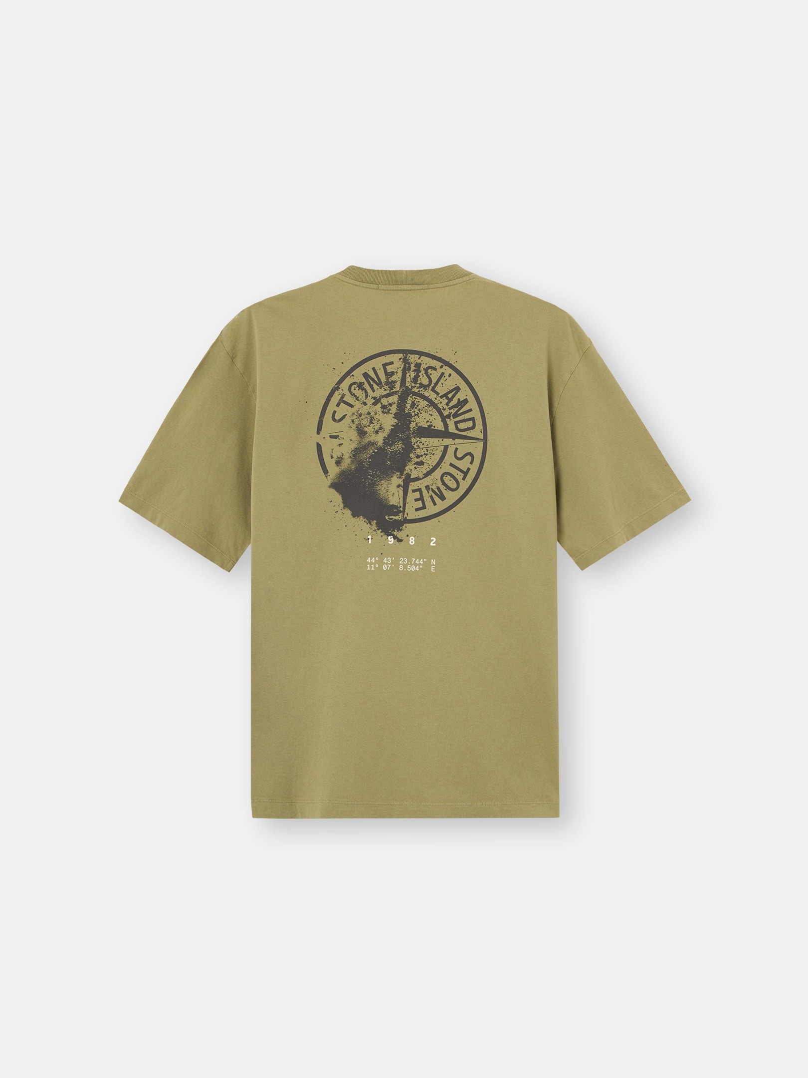 Laurel Green Regular-fit T-shirt with 'Desert' print 2100001