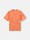 undefined 2100024 UNEVEN PIGMENT DYED ORGANIC COTTON JERSEY Burnt Orange Stone Island