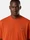 2100030 COMBED ORGANIC COTTON JERSEY, Foto 3