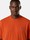 undefined 2100030 COMBED ORGANIC COTTON JERSEY, photo  3