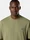 2100030 COMBED ORGANIC COTTON JERSEY Vert laurier Stone Island