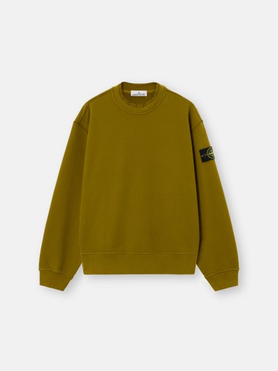 Cactus Oversized-fit crewneck sweatshirt with ribbed trims 6100022