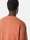 6100033 UNEVEN PIGMENT DYED VANISÉ COTTON JERSEY, photo 5