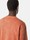 undefined 6100033 UNEVEN PIGMENT DYED VANISÉ COTTON JERSEY Burnt Orange Stone Island