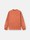 undefined 6100033 UNEVEN PIGMENT DYED VANISÉ COTTON JERSEY, foto  1
