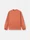 6100033 UNEVEN PIGMENT DYED VANISÉ COTTON JERSEY, photo 1