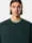 6100049 BRUSHED ORGANIC COTTON FLEECE Dark Green Stone Island