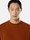 6100069 STRETCH COTTON FLEECE_S.I. GHOST Terracotta Stone Island
