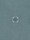 undefined 2100001 ORGANIC COTTON JERSEY Ash Blue Stone Island