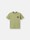 undefined 2100003 30/1 COTTON JERSEY Sage Green Stone Island
