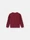 6100001 BRUSHED ORGANIC COTTON FLEECE Granatrot Stone Island