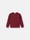 undefined 6100001 BRUSHED ORGANIC COTTON FLEECE Garnet Stone Island