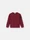 6100001 BRUSHED ORGANIC COTTON FLEECE Garnet Stone Island