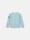 6100001 BRUSHED ORGANIC COTTON FLEECE Bleu Poussière Stone Island