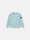 6100001 BRUSHED ORGANIC COTTON FLEECE Bleu Poussière Stone Island