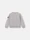 6100002 MÉLANGE ORGANIC COTTON FLEECE Dust Grey Melange Stone Island
