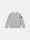 undefined 6100002 MÉLANGE ORGANIC COTTON FLEECE Polvere Melange Stone Island