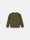 undefined 6100007 BRUSHED ORGANIC COTTON FLEECE Verde Militare Stone Island