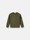 undefined 6100007 BRUSHED ORGANIC COTTON FLEECE Verde Militare Stone Island