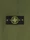 6100010 GAUZED AND BRUSHED RIBBED ORGANIC COTTON FLEECE Vert militaire Stone Island