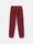 6200002 BRUSHED ORGANIC COTTON FLEECE Garnet Stone Island